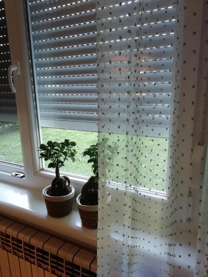 Sarmantni Apartman Malecka Zagreb Ngoại thất bức ảnh