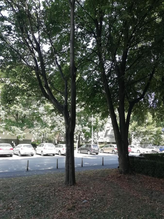 Sarmantni Apartman Malecka Zagreb Ngoại thất bức ảnh